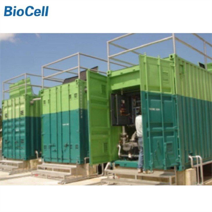Poultry Processing Wastewater Treatment Plant-2